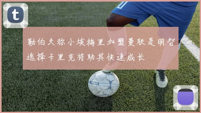 勒伯夫称小埃梅里加盟曼联是明智选择卡里克将助其快速成长