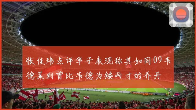 张佳玮点评华子表现称其如同09韦德莱利曾比韦德为矮两寸的乔丹