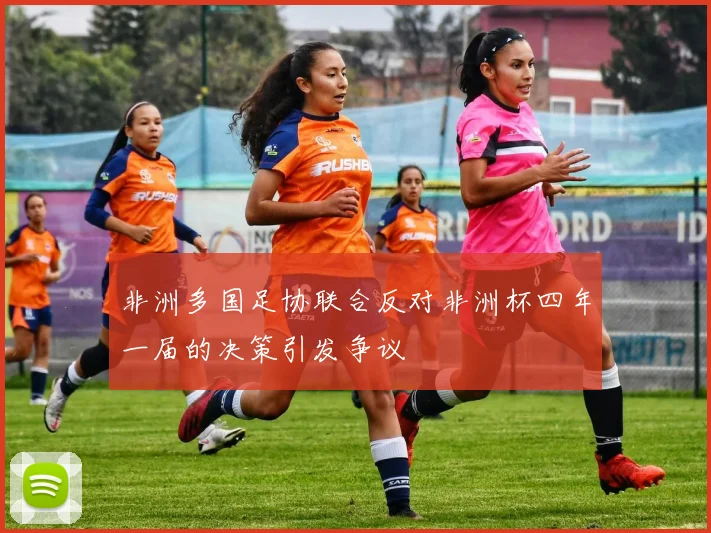 非洲多国足协联合反对非洲杯四年一届的决策引发争议